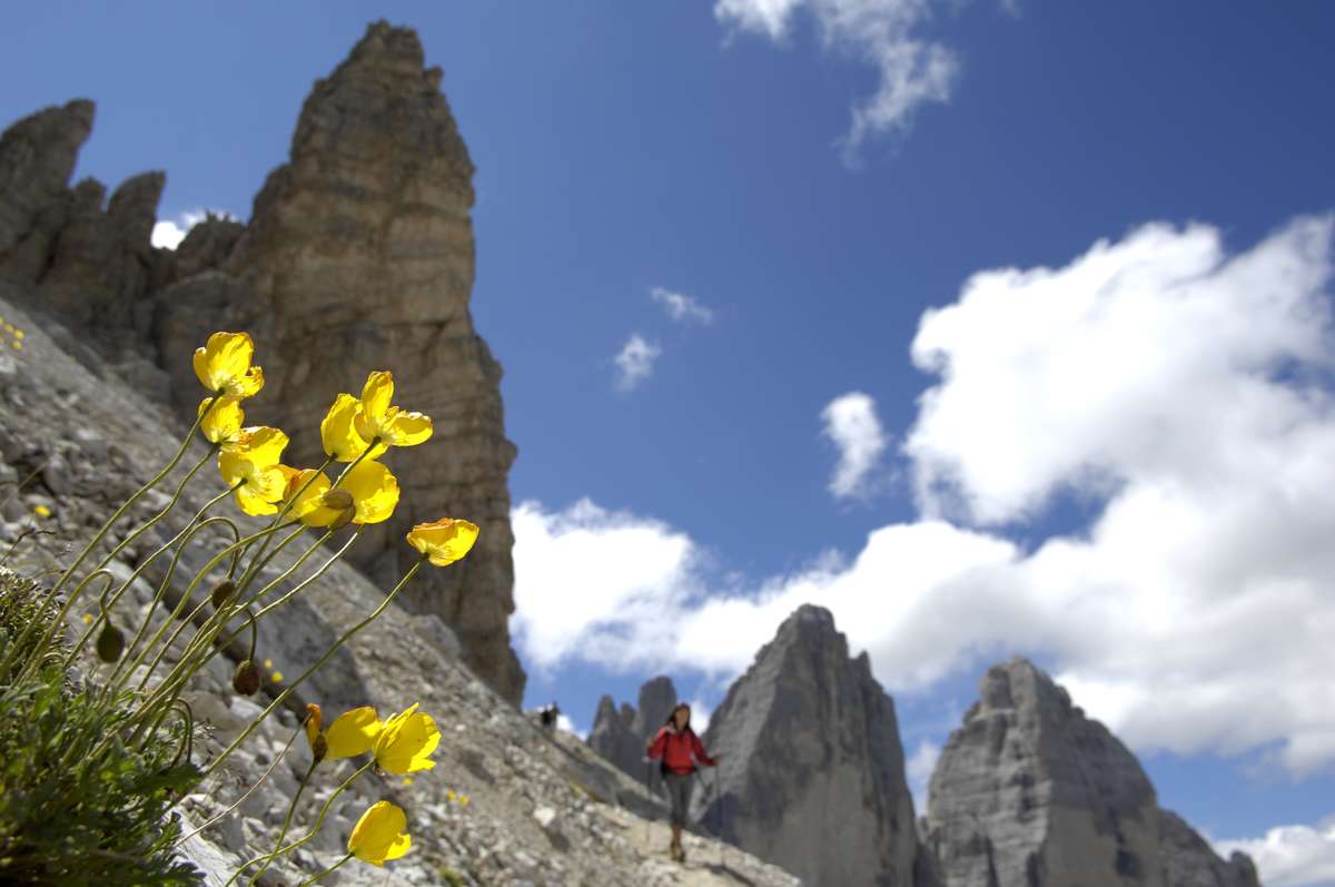 Golden³Dolomites