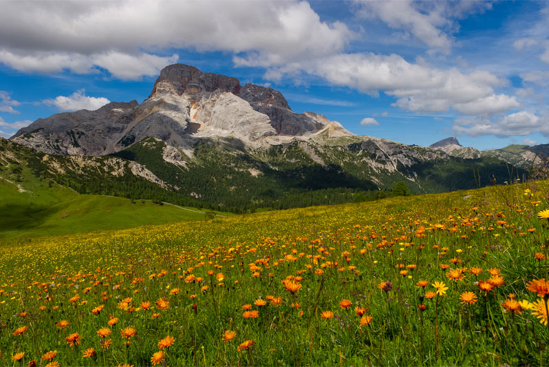 Plätzwiese/Prato Piazza